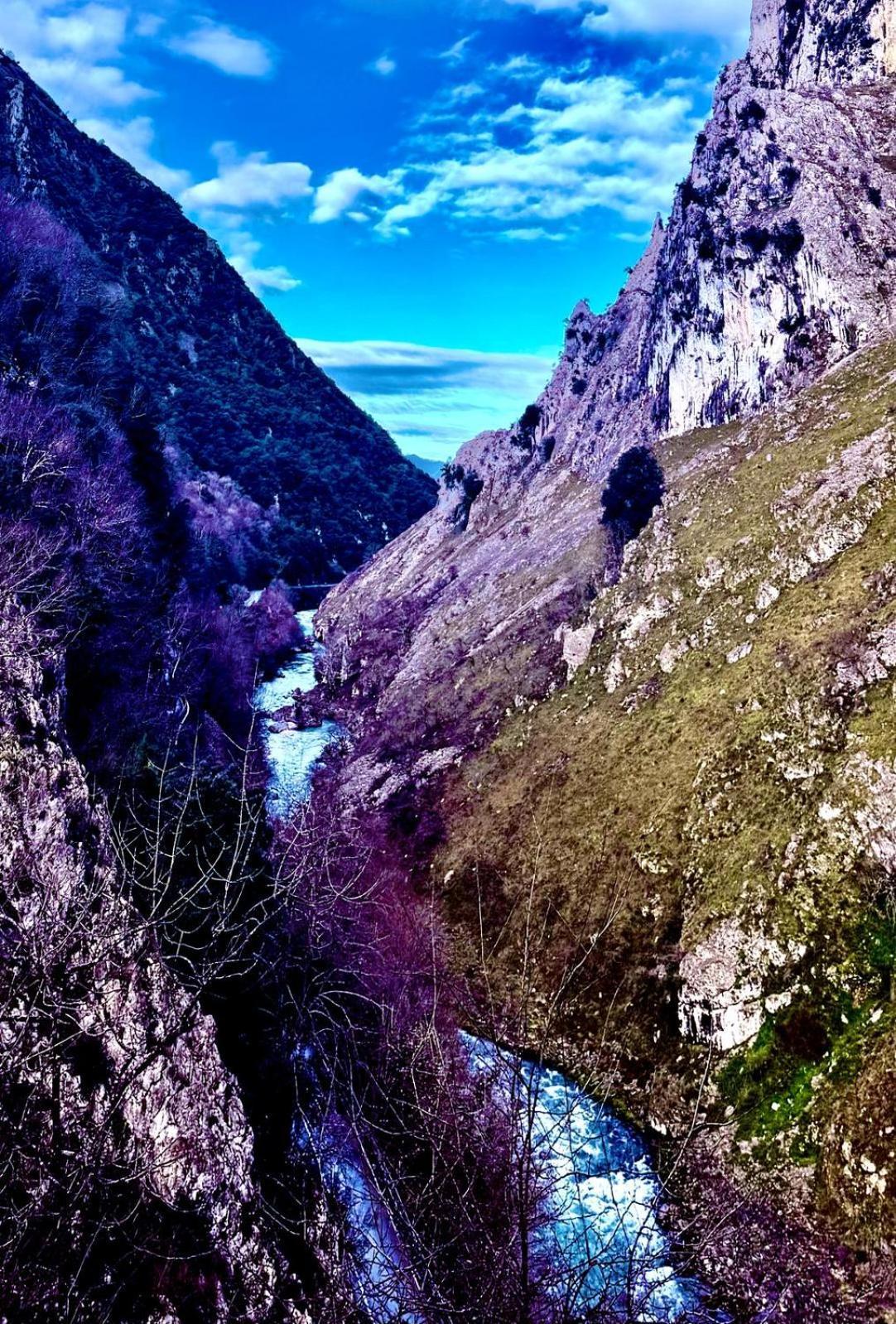 Apartamentos El Caxigu Arenas De Cabrales Eksteriør bilde